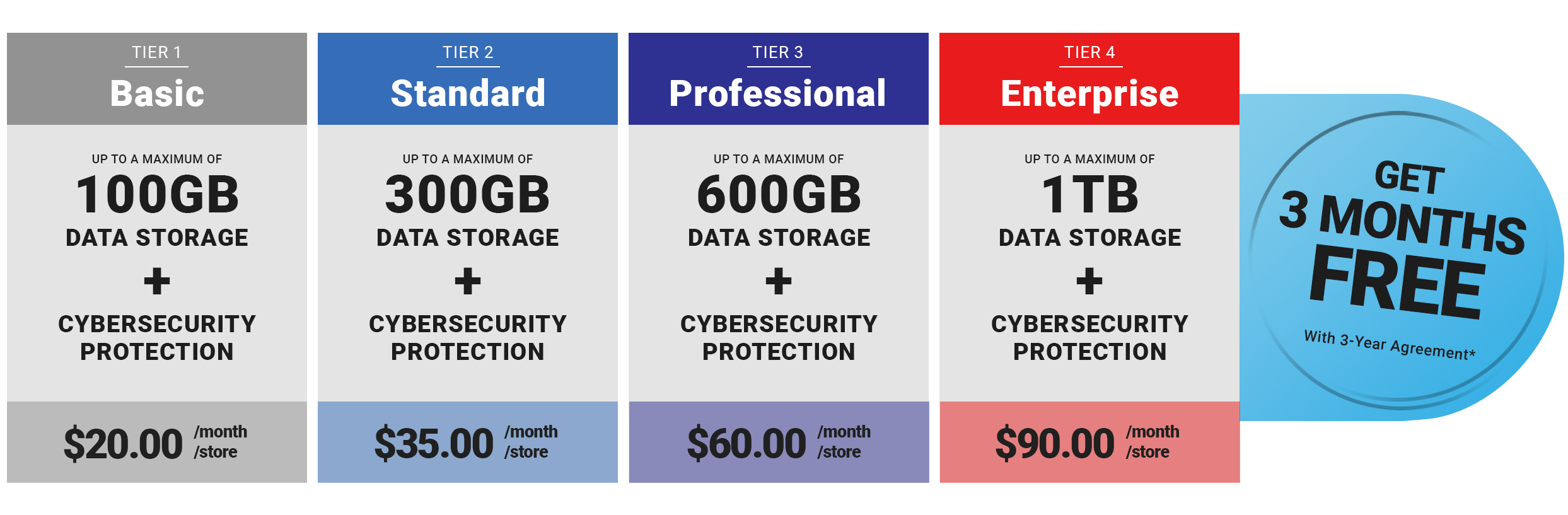 Pricing is separated into four tiers - Basic at 100GB for $20.00 per month - 
                    Standard at 300GB for $35.00 per month - Professional at 600GB for $60.00 per month - Enterprise at 
                    1TB for $90.00 per month. All plans include Cybersecurity Protection